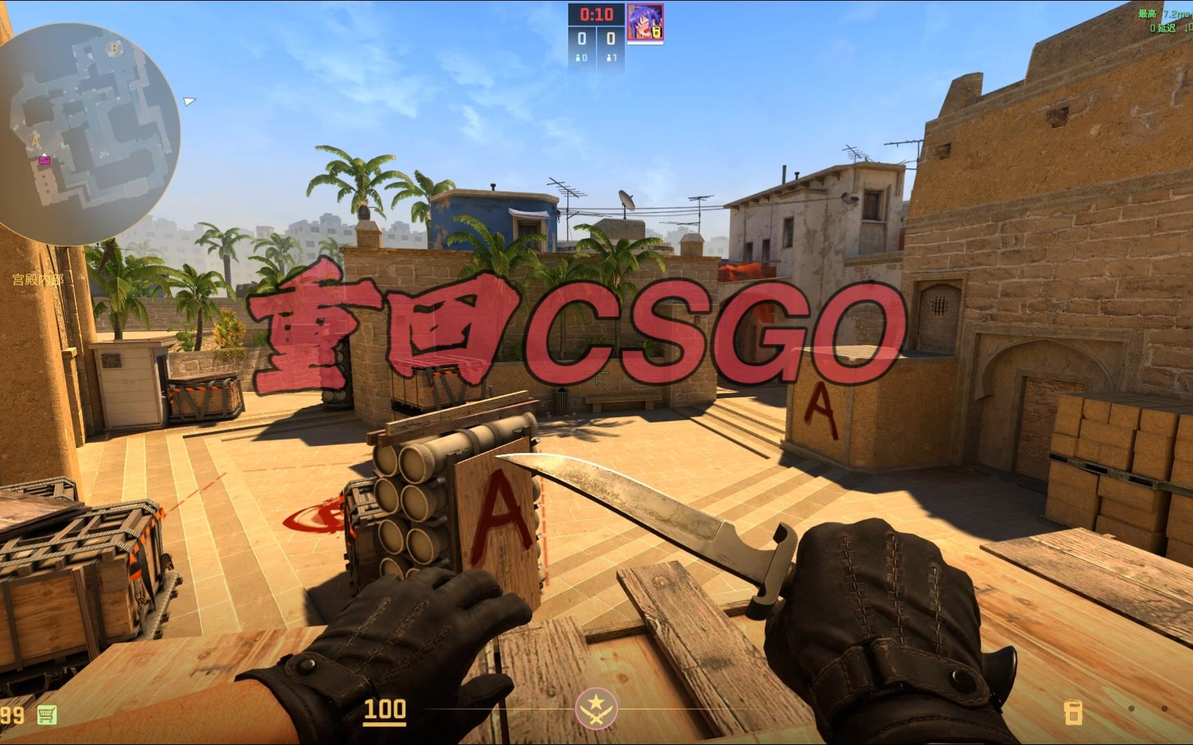 多伦多猛龙 多伦多猛龙