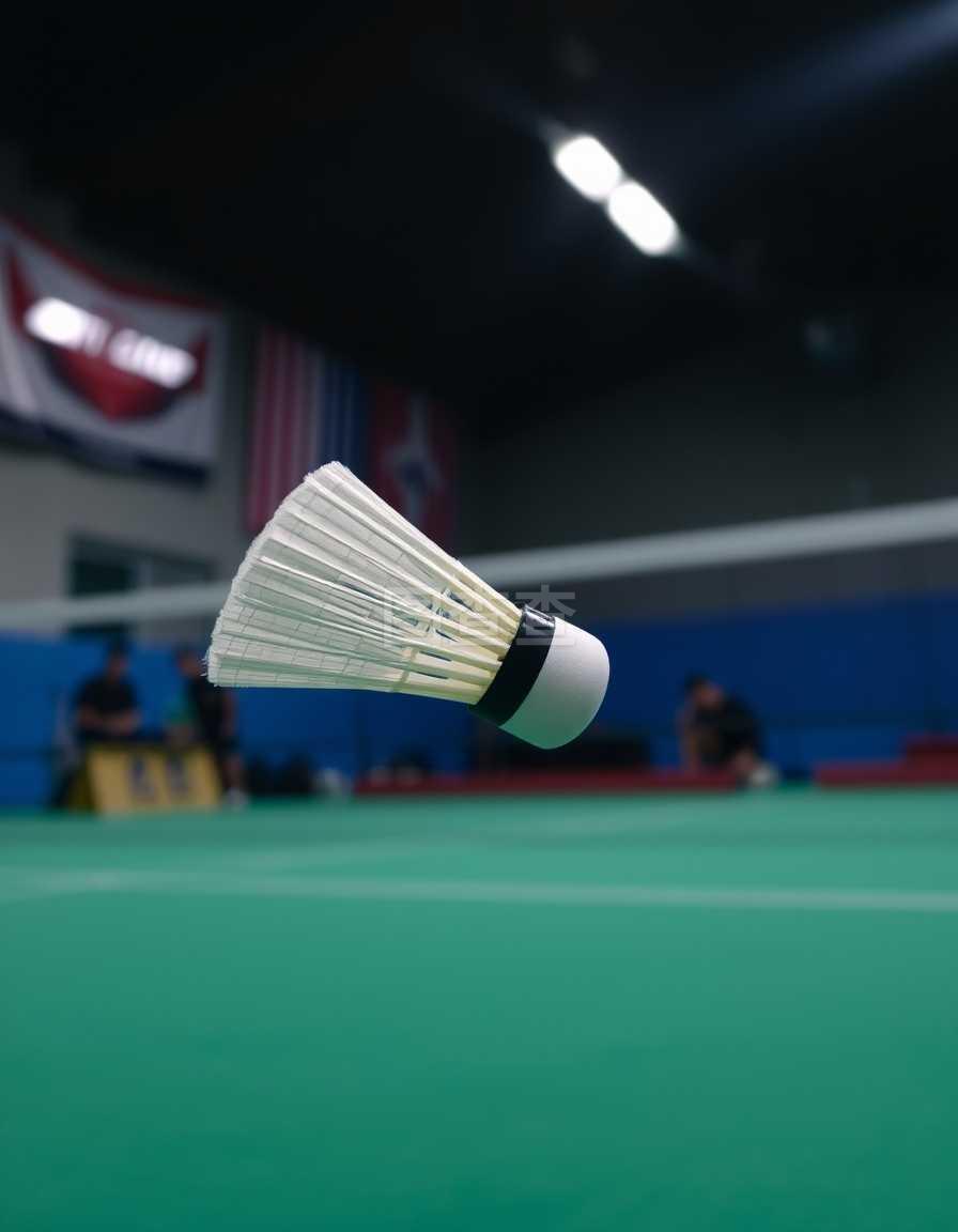 比赛增添了 比赛增添了