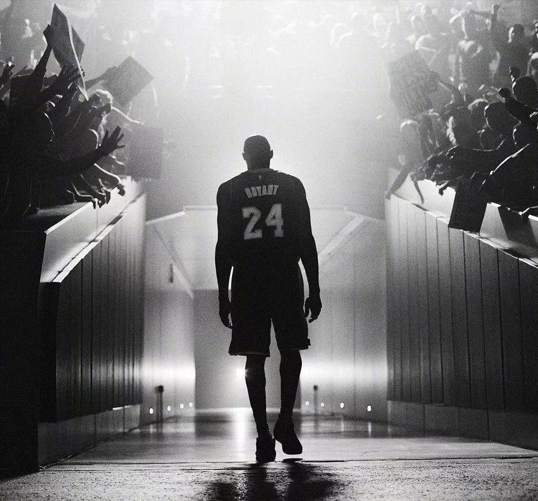 区高位策应 区高位策应